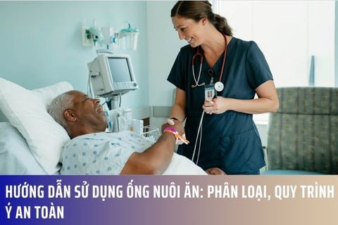 Hướng Dẫn Sử Dụng Ống Nuôi Ăn: Phân Loại, Quy Trình & Lưu Ý An Toàn