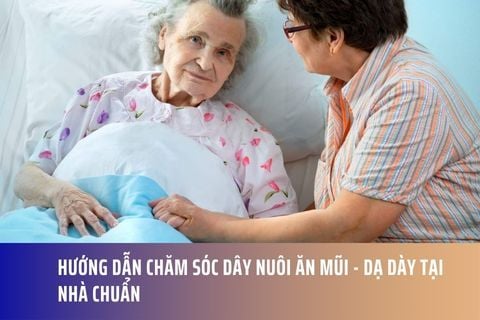 Hướng Dẫn Chăm Sóc Dây Nuôi Ăn Mũi - Dạ Dày Tại Nhà Chuẩn